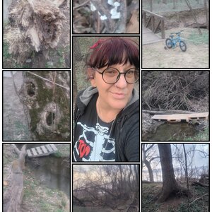 Fundraising Page: Stacey Ayers-Troell